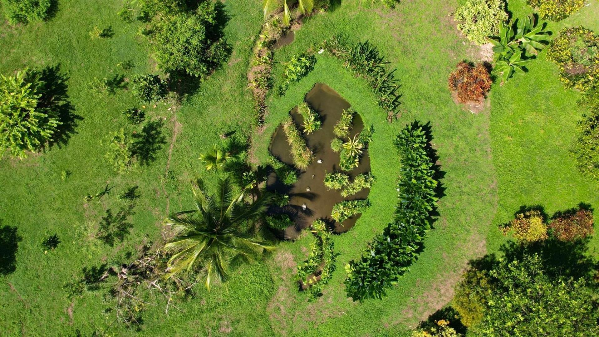 San PedrilloEden Corcovado别墅 外观 照片