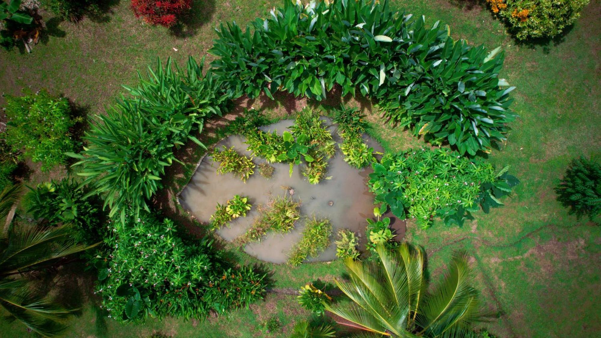 San PedrilloEden Corcovado别墅 外观 照片